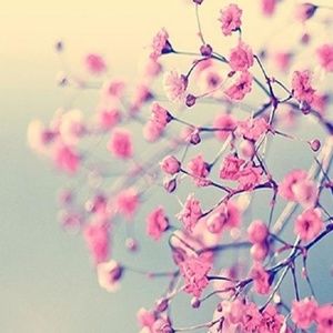 Meet your Posher, Charity